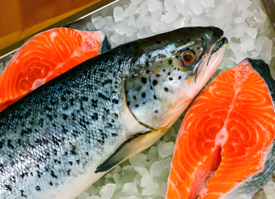 8月中國進口三文魚總量超1.55萬噸，同比增4%（附報關單證資料）