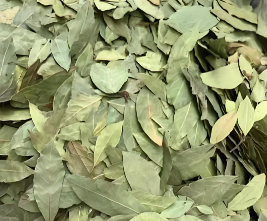 【政策解讀】土耳其月桂葉(香葉)準入落地（香料進口企業清關必看）