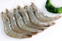 【海鮮動態】我國進口33998噸厄瓜多爾白蝦,單價比去年暴增30%！