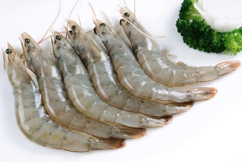 9月份中國(guó)進(jìn)口厄瓜多爾冷/印度冷凍蝦進(jìn)口量有所放緩(需求仍然堅(jiān)挺)